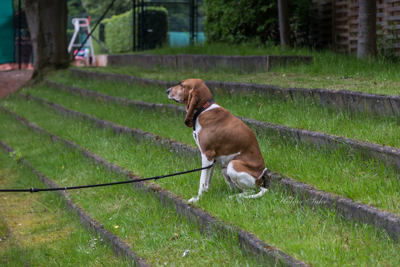 Bild 60 - BL Club an der Alster - THC von Horn und Hamm : Ergebnis: 9:0